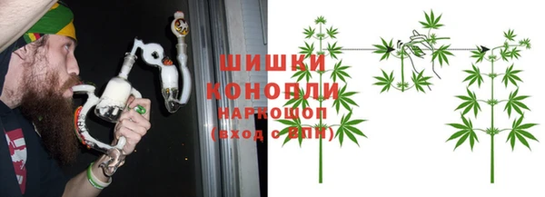прущие грибы Армянск