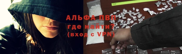 apvp Аркадак