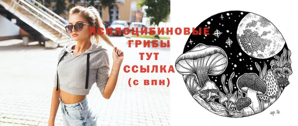 apvp Аркадак