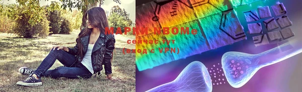 apvp Аркадак