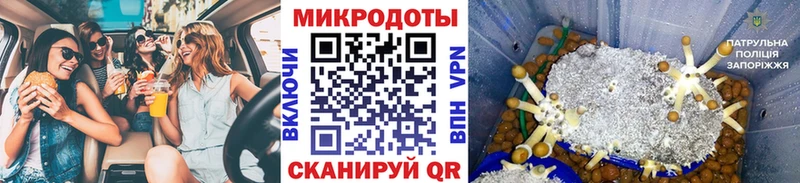 Псилоцибиновые грибы прущие грибы  наркотики  Мураши 